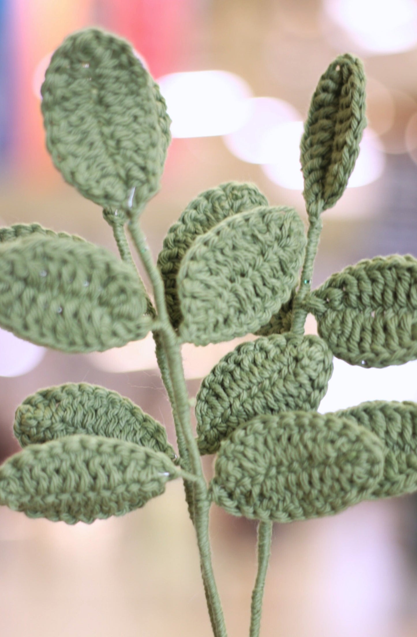 Leaves