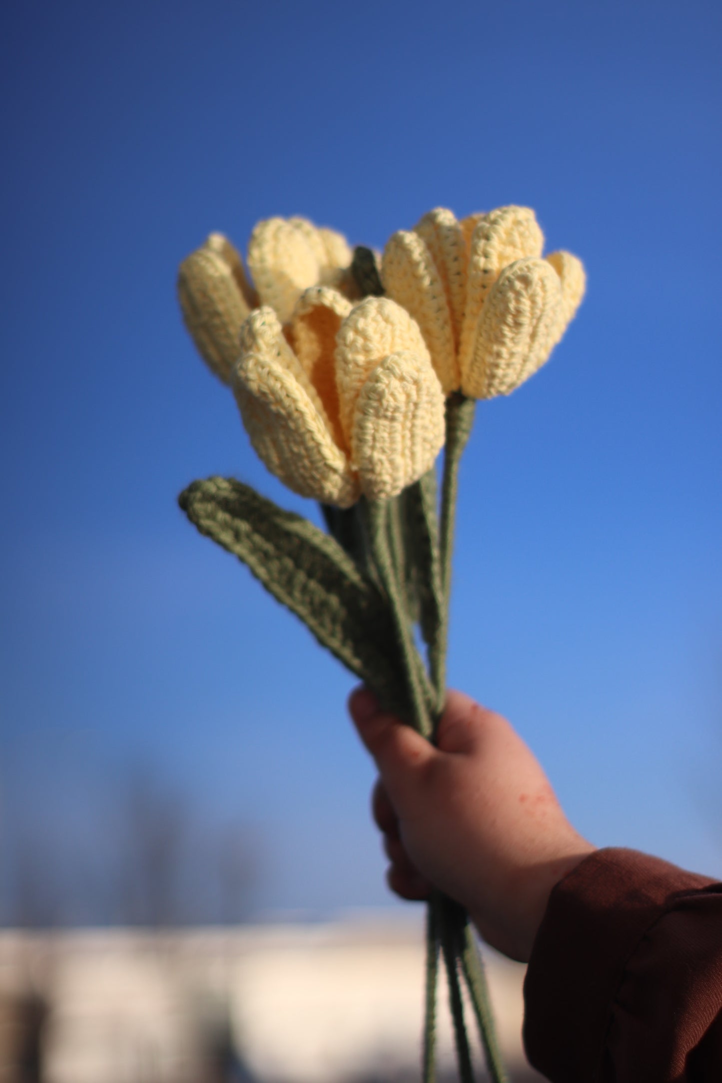 Tulips-Pre Order