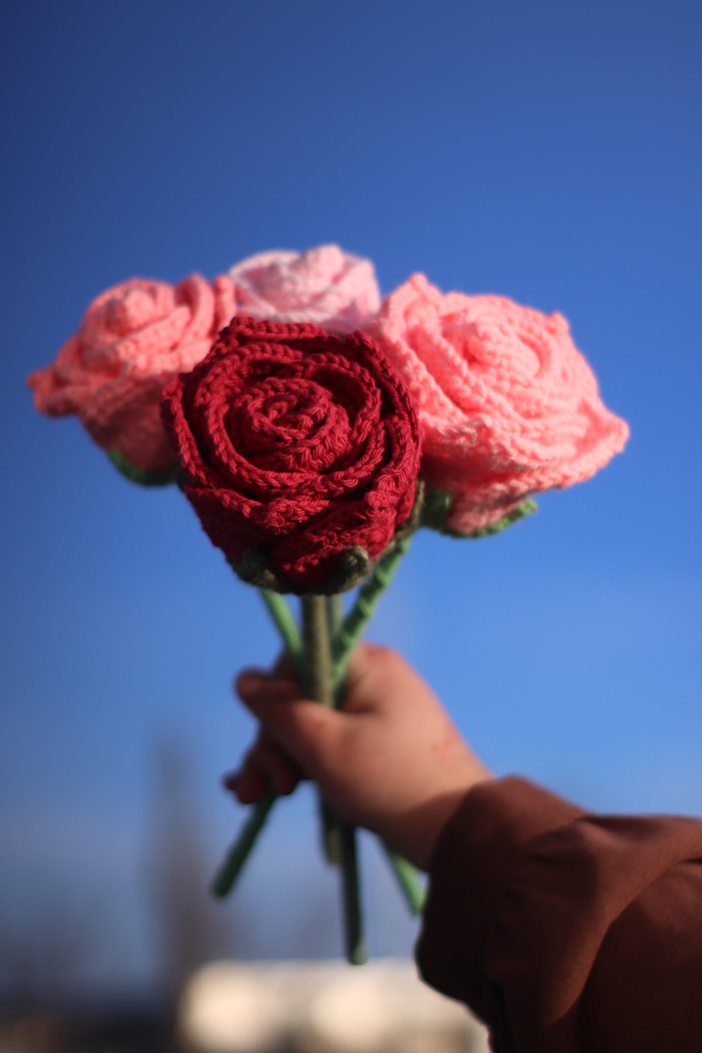 Roses-Pre Order