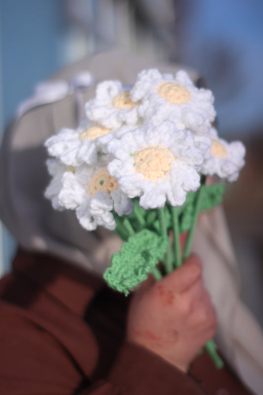Daisy-Pre Order