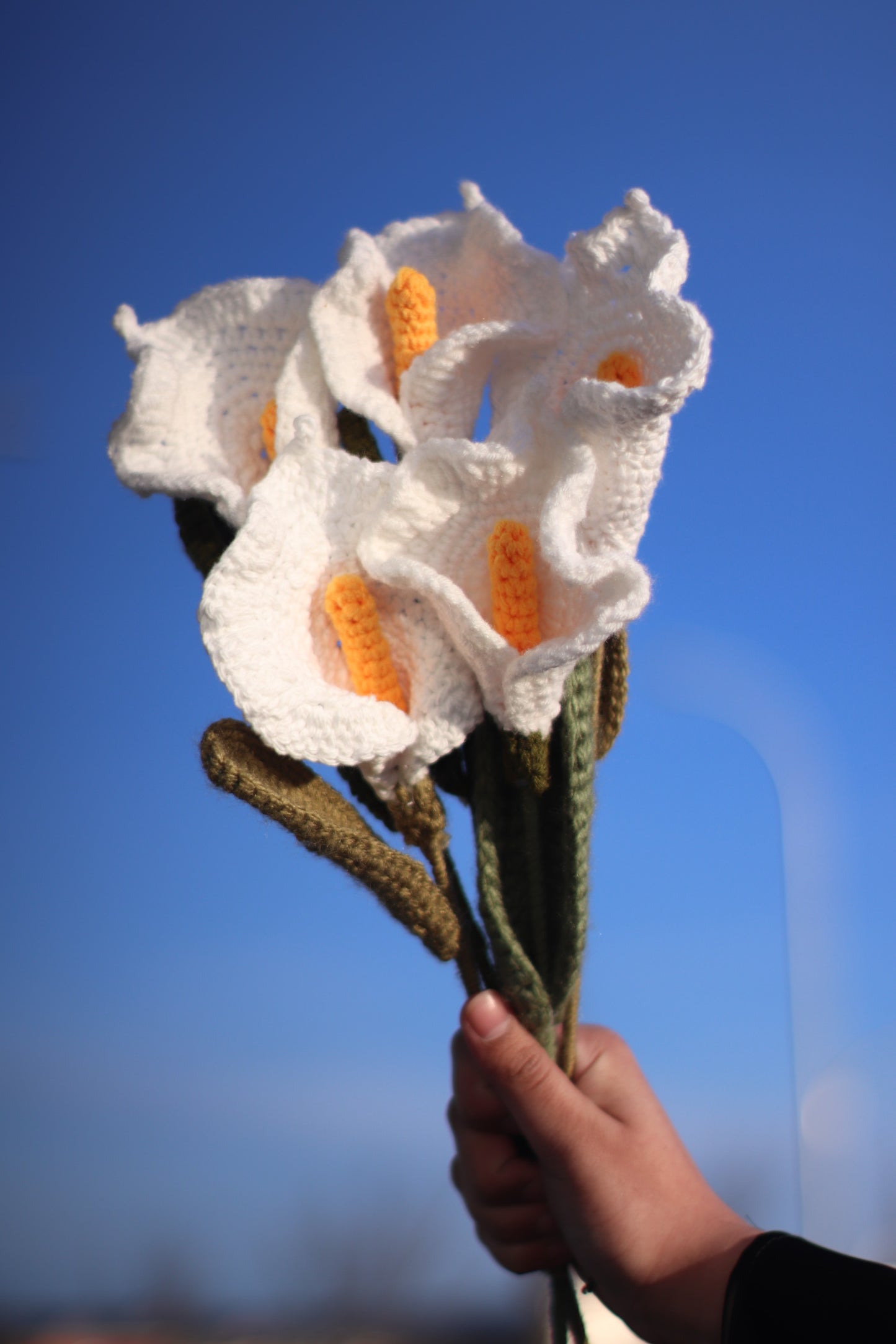 Calla Lilies-Pre Order