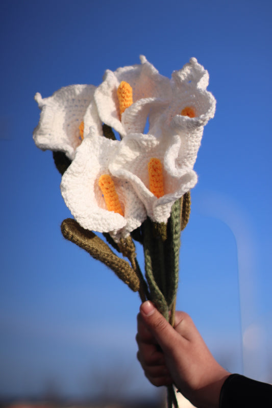 Calla Lilies-Pre Order